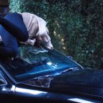 Days of Our Lives Weekly Spoilers July 24-28: Abigail Hit by Speeding Car While Saving Chad – Injuries Leave Abby’s Life at Stake