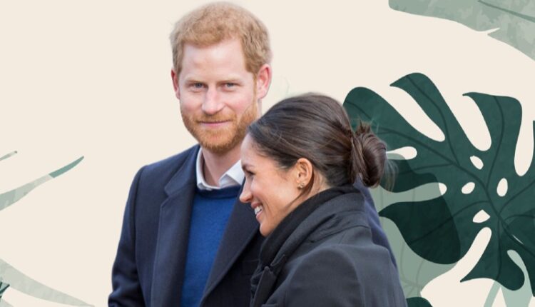 Shutterstock_1559827358-2