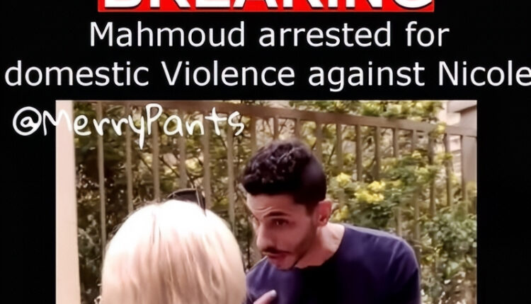 Mahmoud El Sherbiny Arrested – Merrypants – Instagram