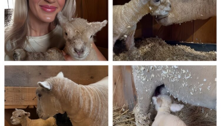 Carrie Welcomes A New Baby – Instagram