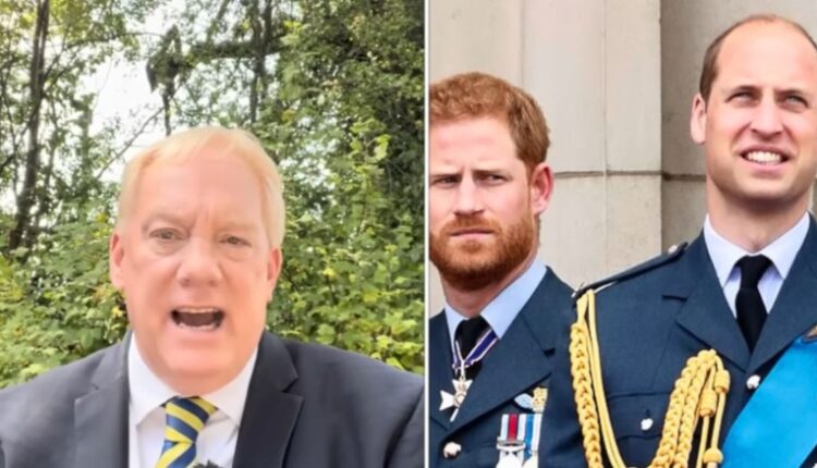 Neil Sean discusses Harry and the charity – Daily News Headlines – YouTube
