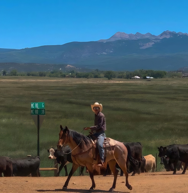 Brodie might come from a ranching family - @brodieutley - Instagram
